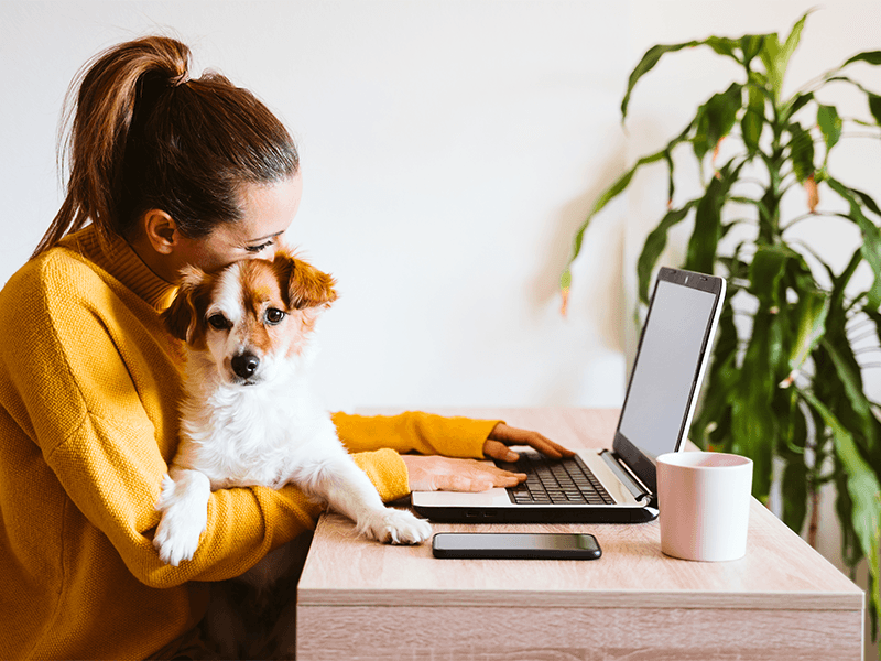 Homeoffice Arbeitsplatz - Remote Arbeit bei TrendHeld24 GmbH